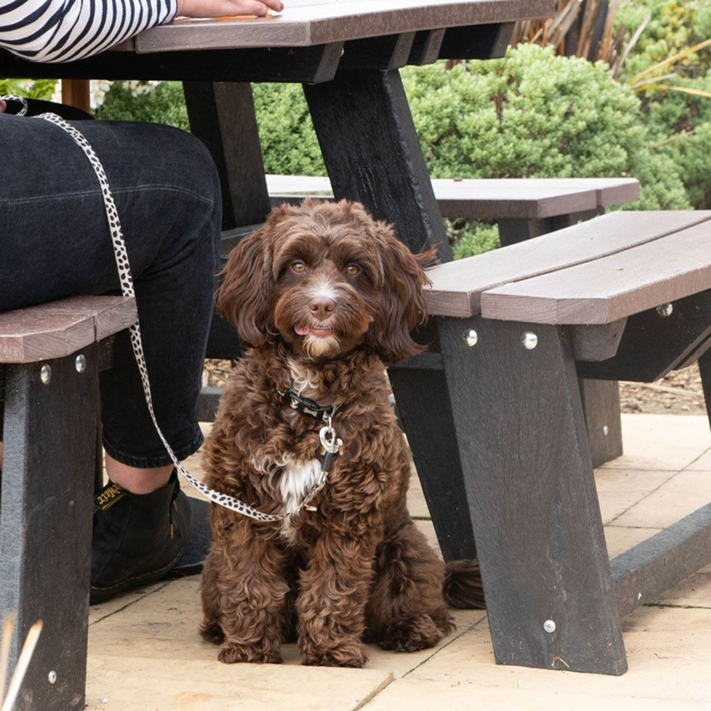 Your local dog friendly pub in Sutton Coldfield